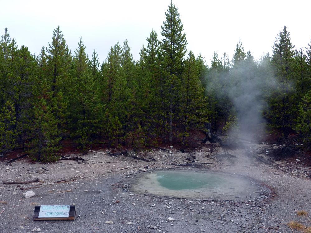 Yellowstone Norris Geyser (75).JPG